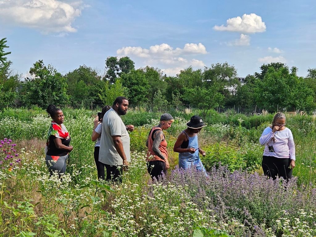 AgriSkills participants exploring plants and sustainable agriculture at the Welttellerfeld in Vienna